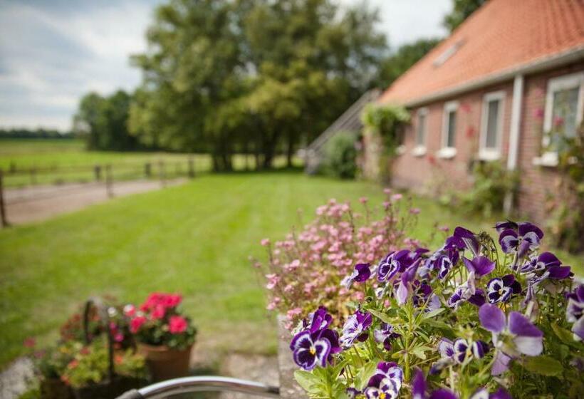 צימר Slaopen En Stoet