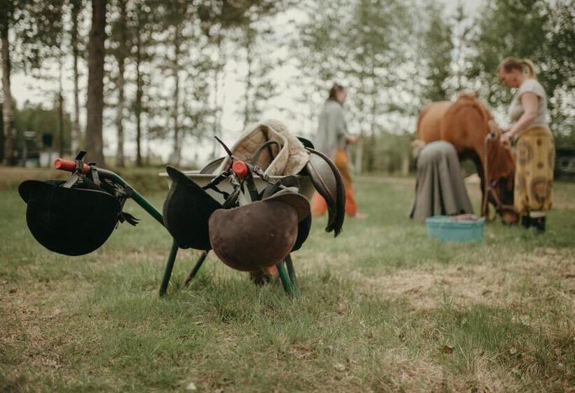 Отель Heidin Mummola Farm