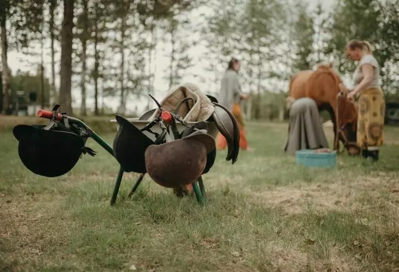 ホテル Heidin Mummola Farm