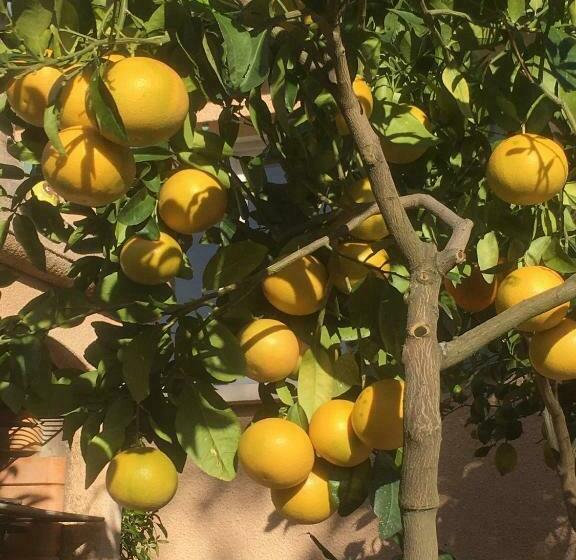 Le Relais Des Malettes Chambres D Hôtes B&b