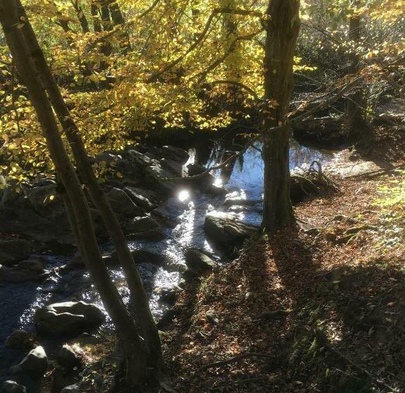 Le Relais Des Malettes Chambres D Hôtes B&b