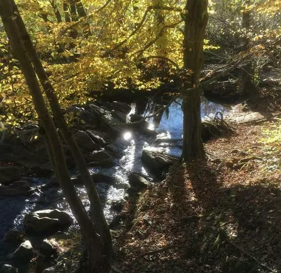 Le Relais Des Malettes Chambres D Hôtes B&b
