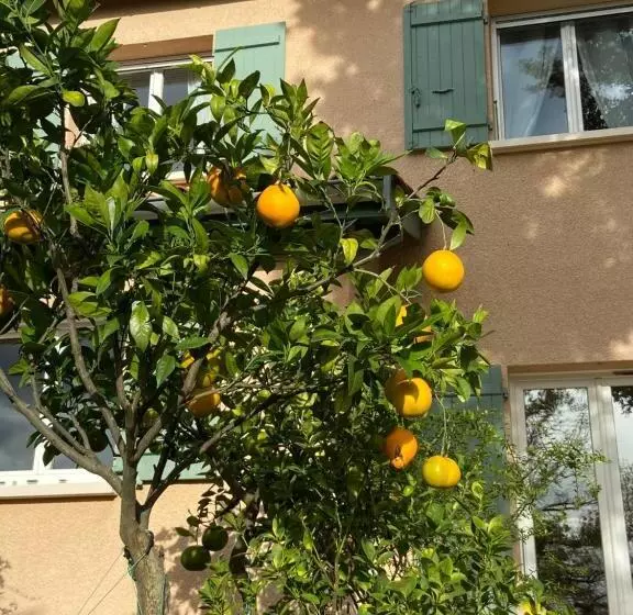 Le Relais Des Malettes Chambres D Hôtes B&b