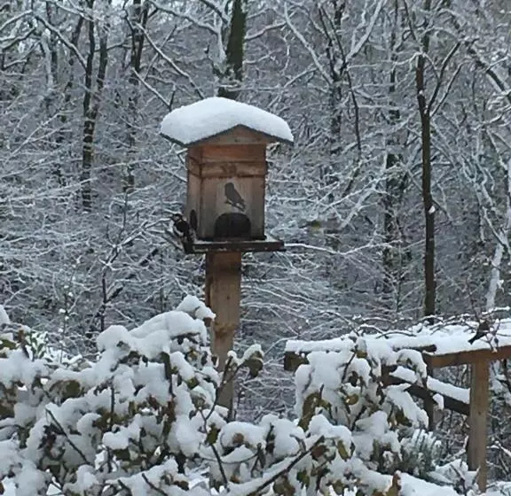 Le Relais Des Malettes Chambres D Hôtes B&b