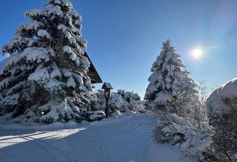 펜션 Penzion Harvanek