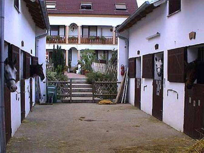 Пансион Reiterhof Sonja