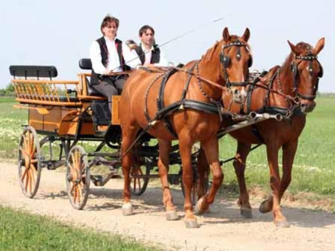 Пансион Reiterhof Sonja