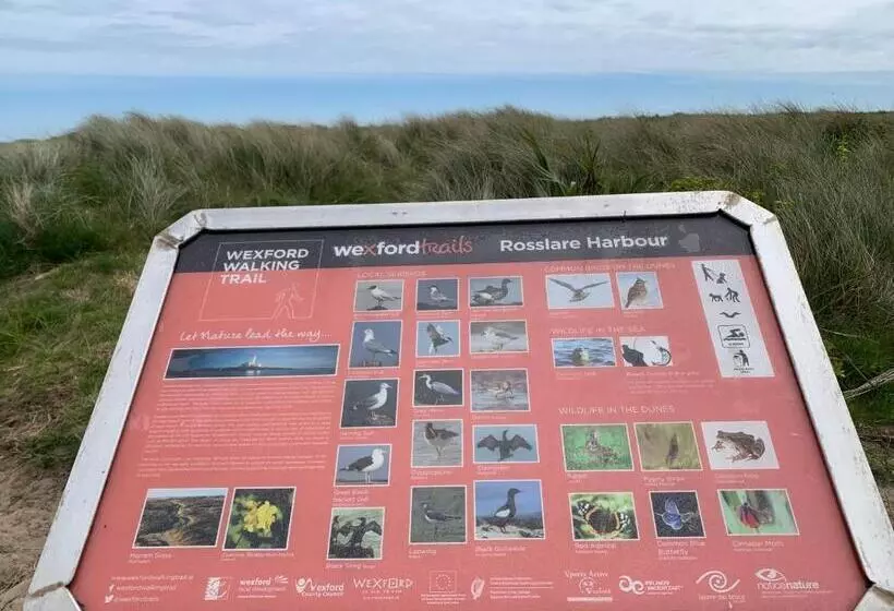 Majatalo St Martin S, Rosslare Harbour Guest Accommodation