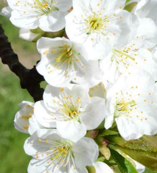 ペンション Zimmervermietung Gröberhof