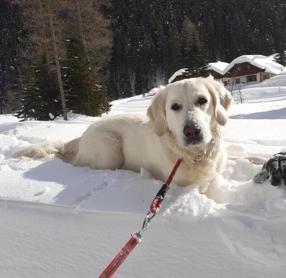 Zirnberg Appartements