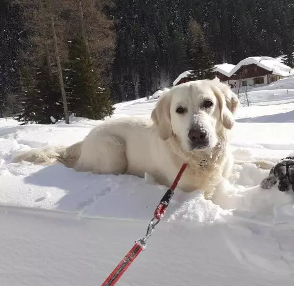 Zirnberg Appartements
