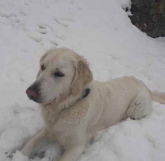 Zirnberg Appartements