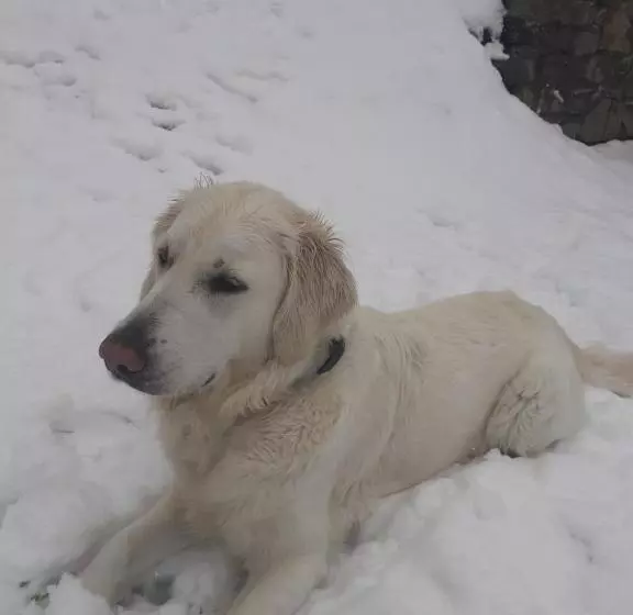 Zirnberg Appartements