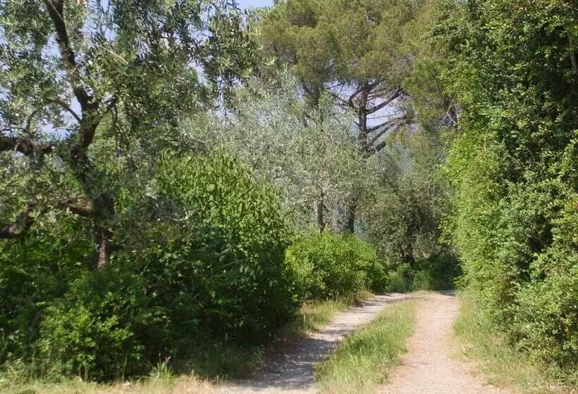 تختخواب و صبحانه Casa Podere San Firenze