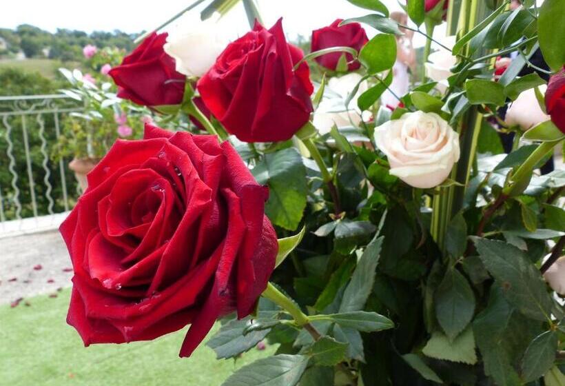 تختخواب و صبحانه Château Du Grand Jardin