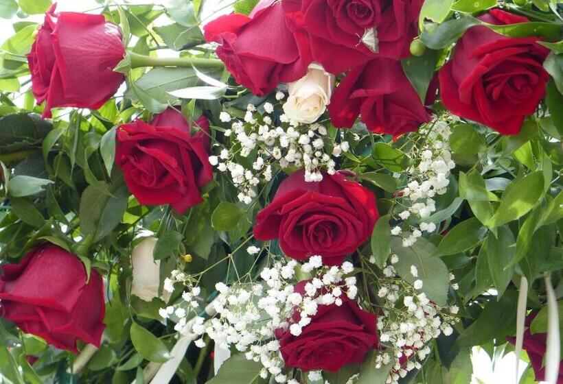 تختخواب و صبحانه Château Du Grand Jardin