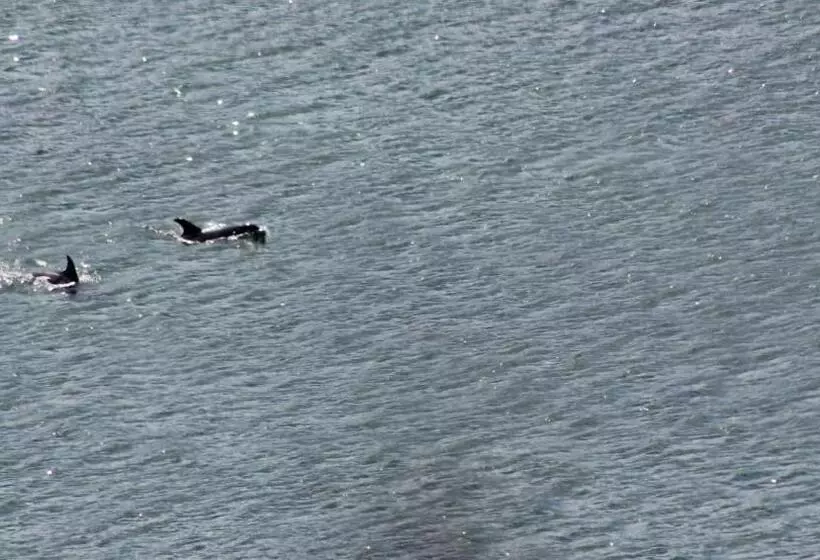 تختخواب و صبحانه Clifden Bay Lodge