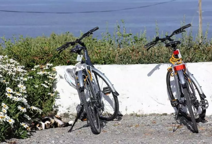 تختخواب و صبحانه Clifden Bay Lodge