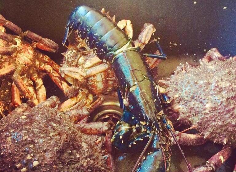 Bed and Breakfast Clifden Bay Lodge