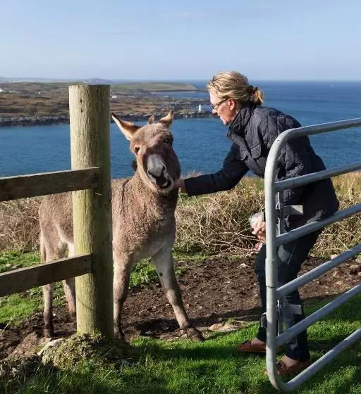 تختخواب و صبحانه Clifden Bay Lodge