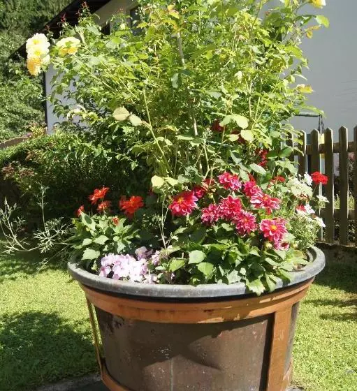 تختخواب و صبحانه Haus Josef