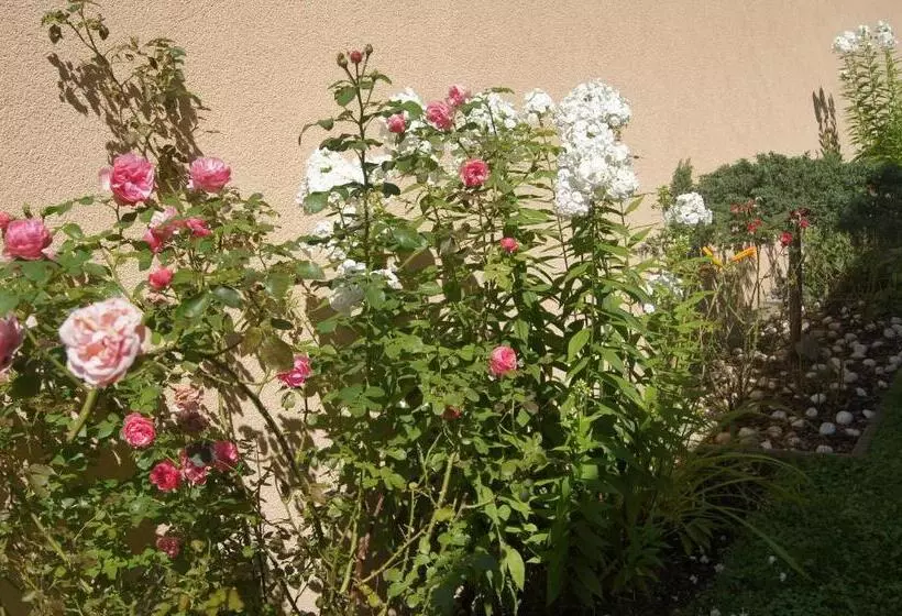 تختخواب و صبحانه Haus Josef