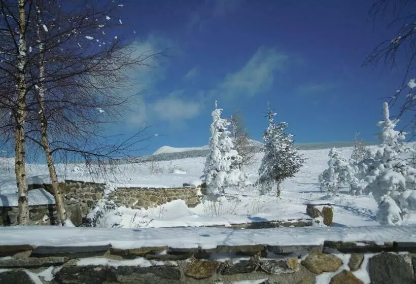 Aamiaismajoitus (B&B) Le Francillon