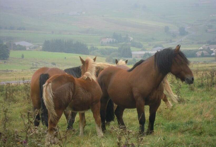 住宿加早餐 Le Francillon