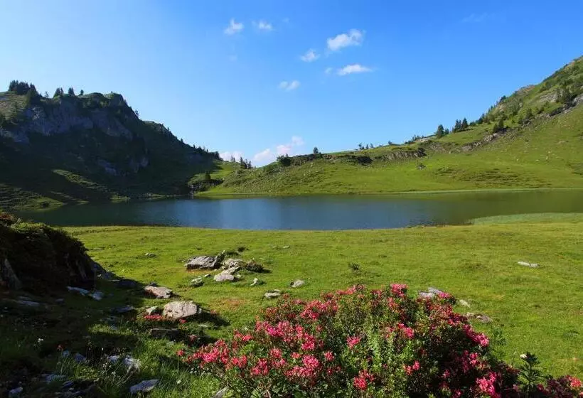 Frühstückspension Sunnhäusl