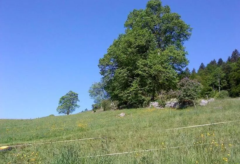 هتل Chambre D Hôtes Petit Martel