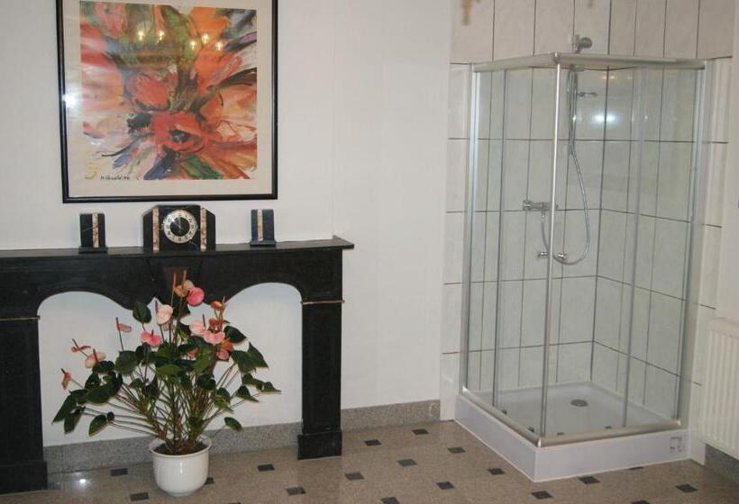 بنسيون Chateau Neufays