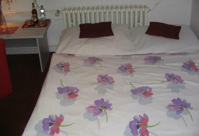 פנסיון Penzion Zavodsky