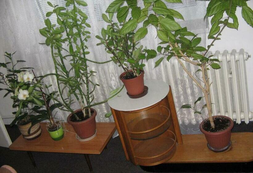 פנסיון Penzion Zavodsky