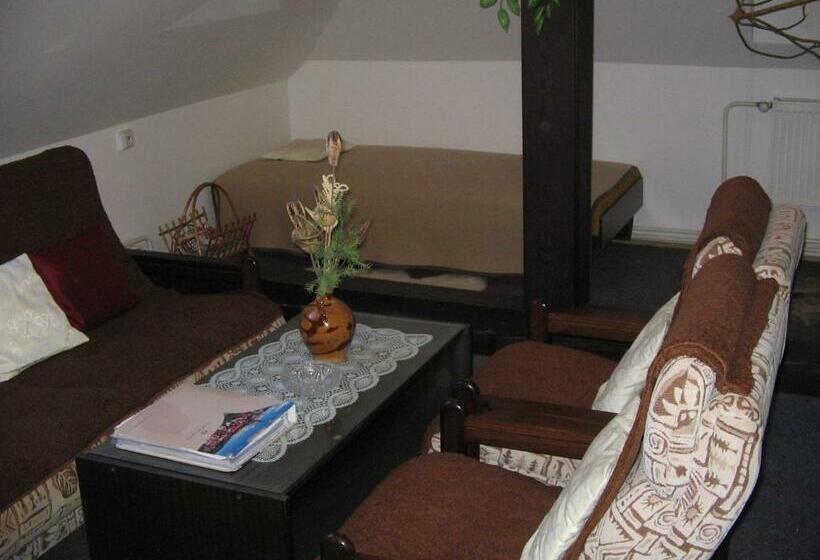 פנסיון Penzion Zavodsky