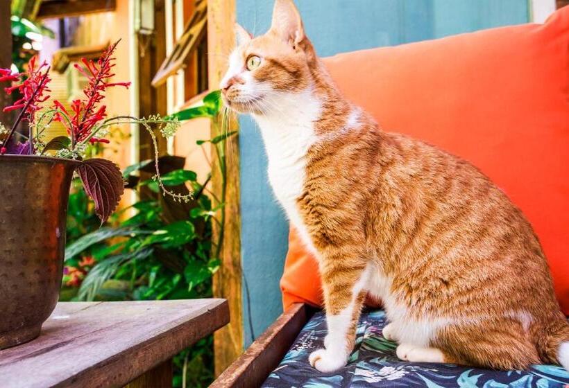 펜션 Pousada Casalinda Camburi