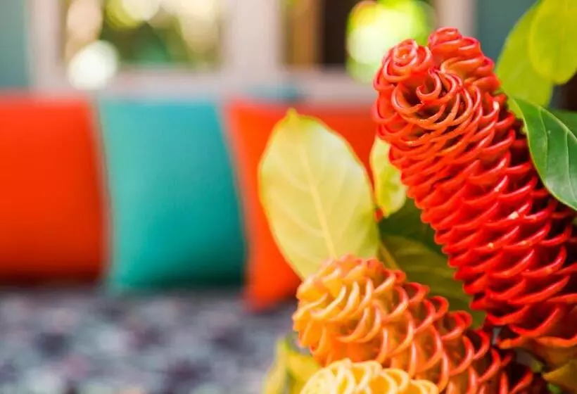 Majatalo Pousada Casalinda Camburi