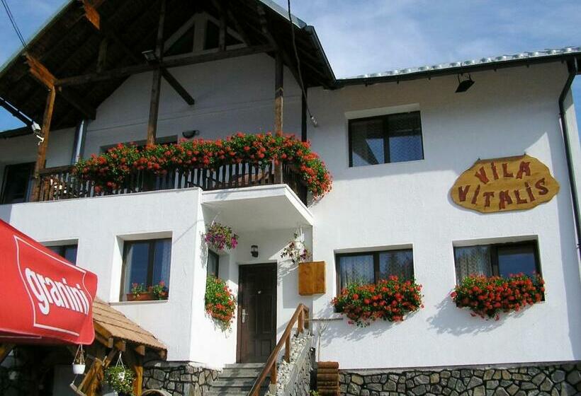 پانسیون Vila Vitalis