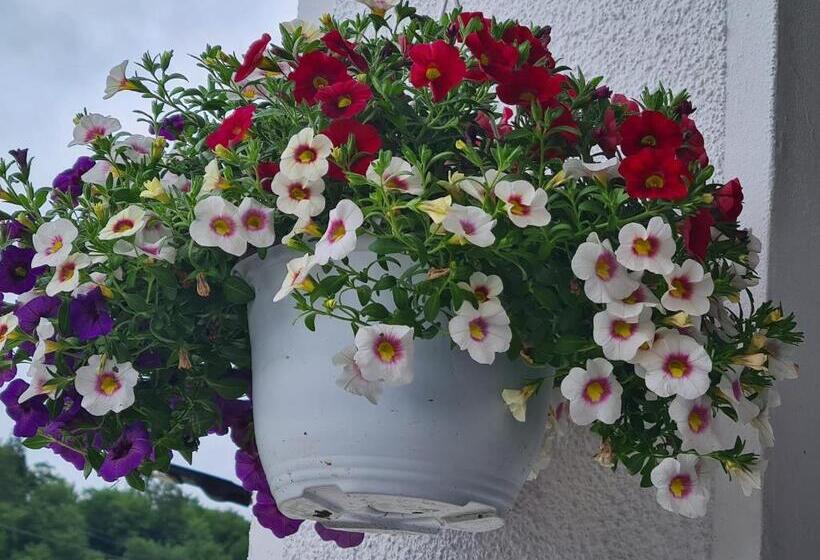 پانسیون Vila Vitalis