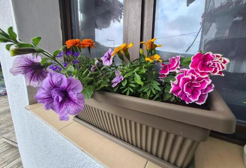 پانسیون Vila Vitalis