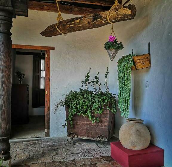 민박 Corregidora 12