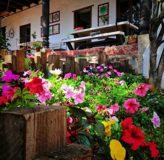 민박 Corregidora 12