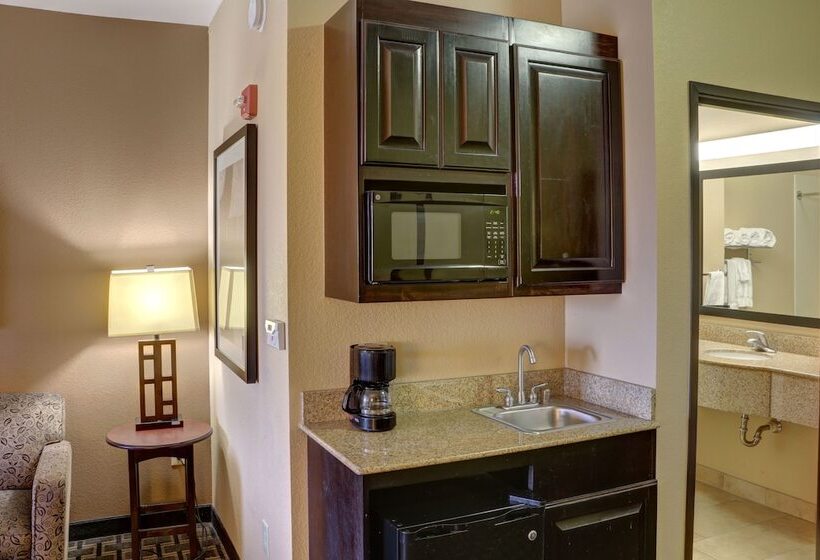 Holiday Inn Express Hotel & Suites Texarkana East, An Ihg