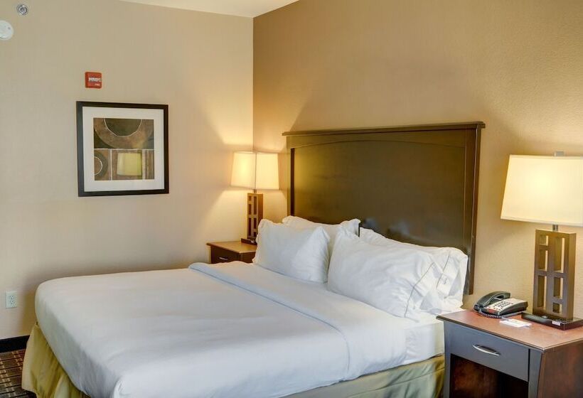 Holiday Inn Express Hotel & Suites Texarkana East, An Ihg