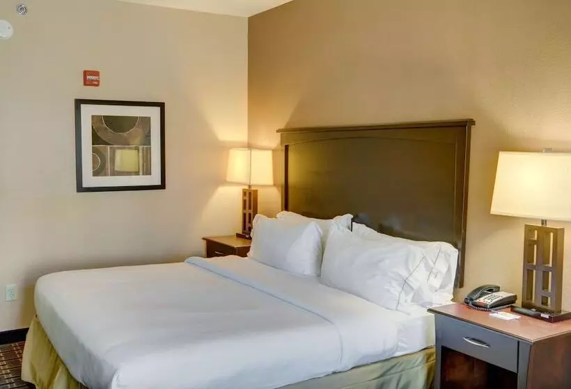 Holiday Inn Express Hotel & Suites Texarkana East, An Ihg