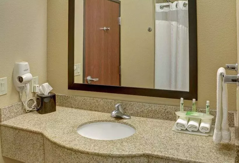 Holiday Inn Express Hotel & Suites Texarkana East, An Ihg