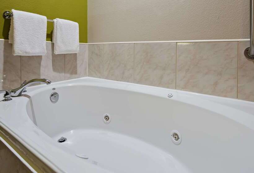 فندق Best Western Plus Mansfield Inn And Suites