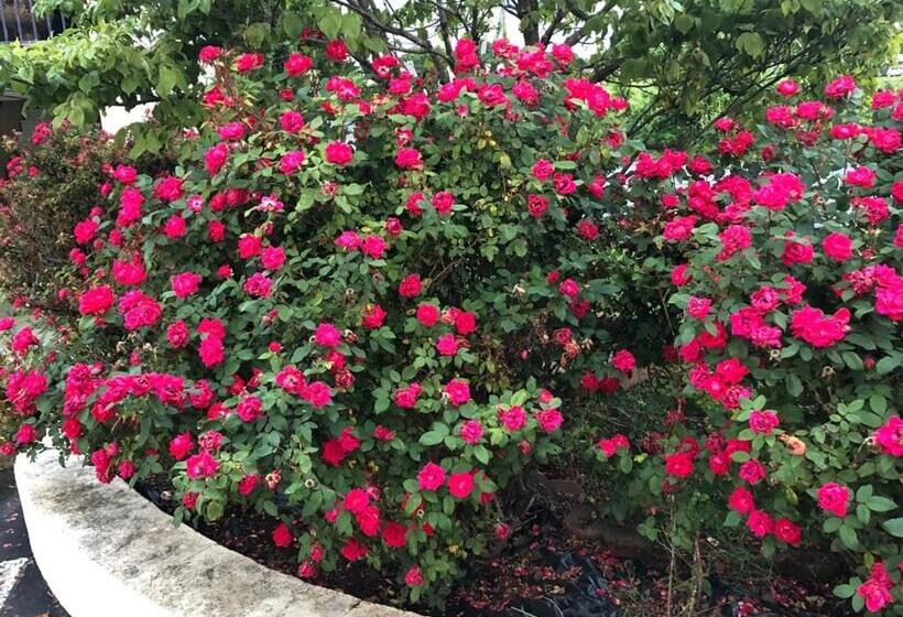 Hotel Budget Inn Express Bristol