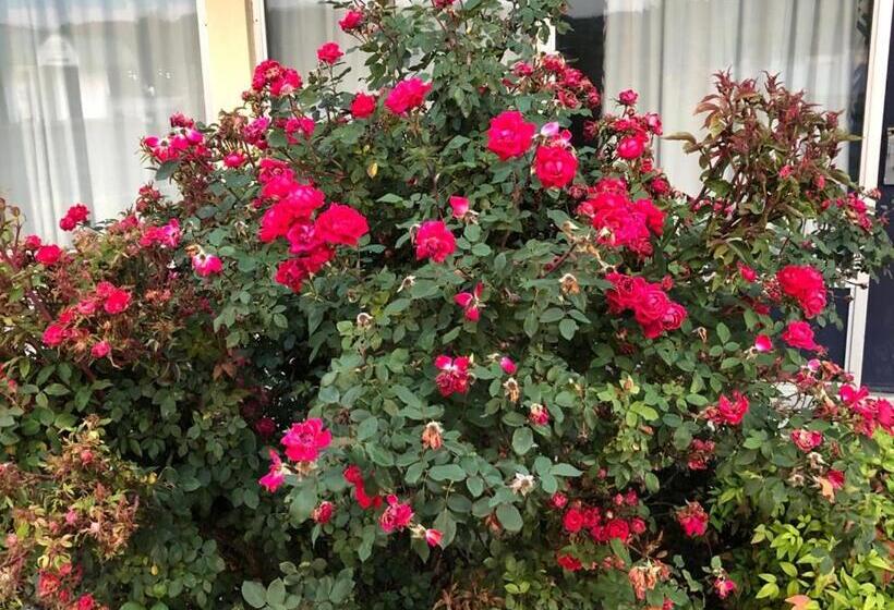 בית מלון כפרי Budget Inn Express Bristol