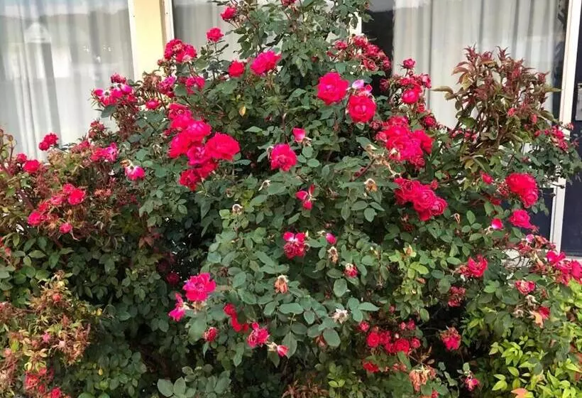 ホテル Budget Inn Express Bristol