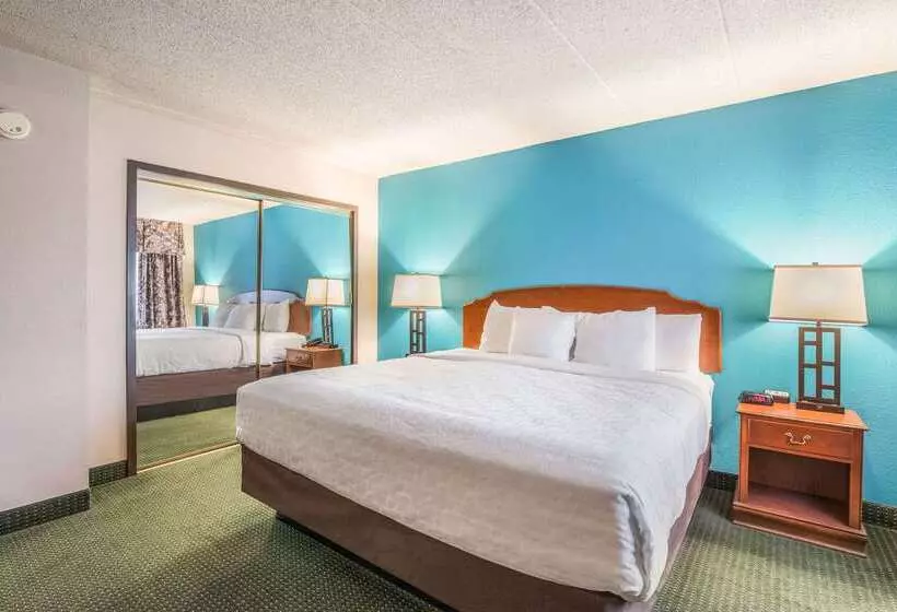 Отель Americinn & Suites By Wyndham Baraboo Event Center